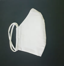 Load image into Gallery viewer, A pack of 100 SHG-95 - 100% Cotton + Special Filter (PFE 96.7 at 0.3 micron, BFE 99%) Washable, Reusable INR 70/mask (incl. GST) MRP INR 90/mask (incl. GST)